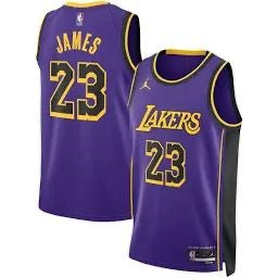 Unisex Los Angeles Lakers LeBron James Jordan Purple Swingman Jersey Size Medium