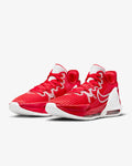 LeBron Witness 6 Men Size 15 / W 16.5